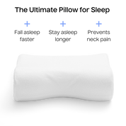 Sleep Pillow