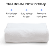 Sleep Pillow